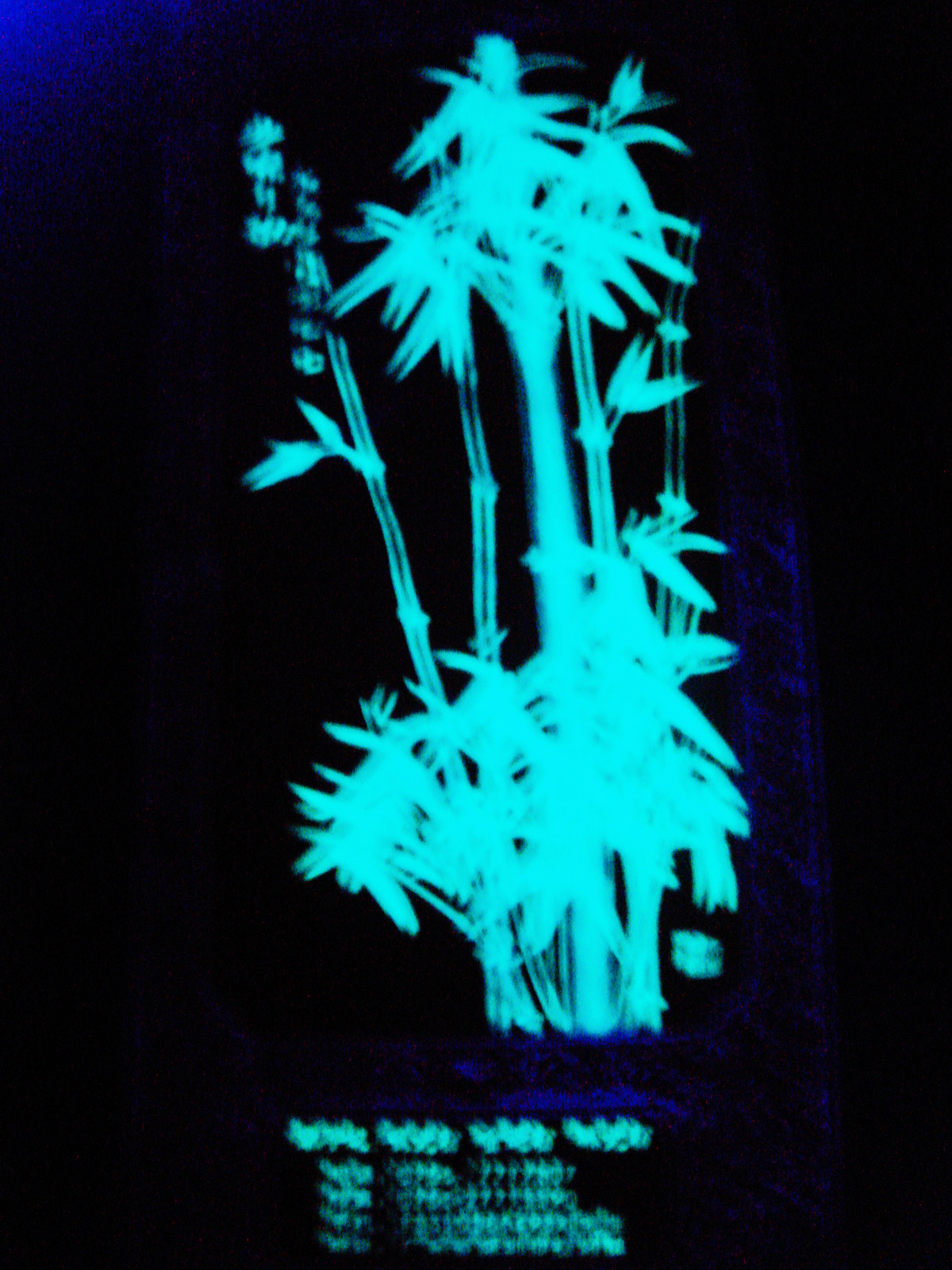 夜光工艺品10.jpg 夜光工艺品10.jpg