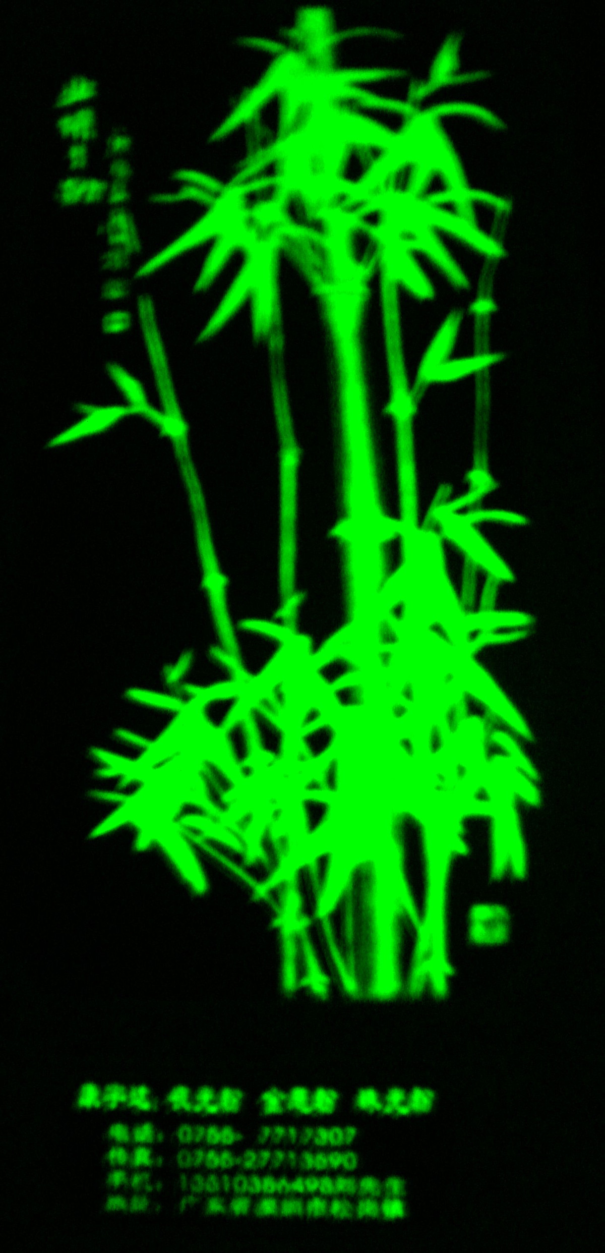 夜光工艺品6.jpg 夜光工艺品6.jpg