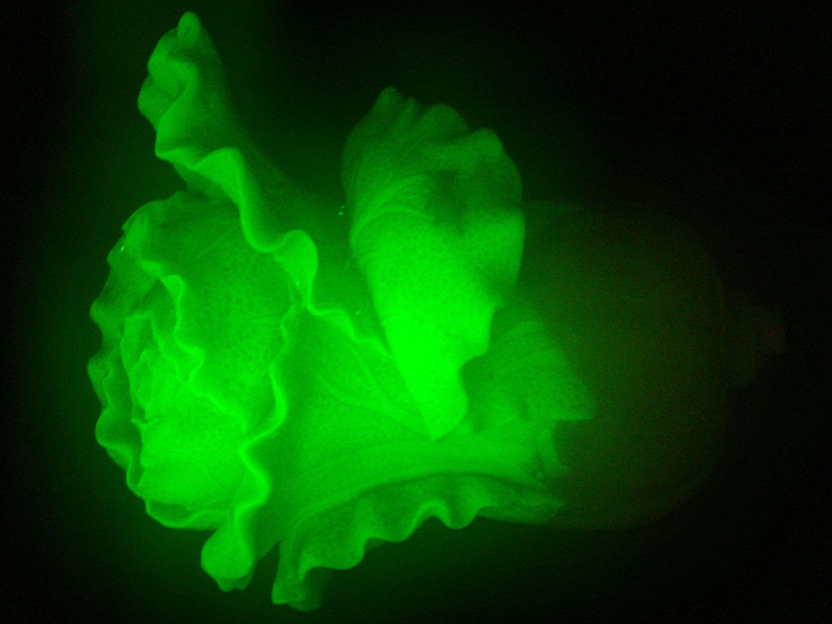 夜光工艺品1.jpg 夜光工艺品1.jpg