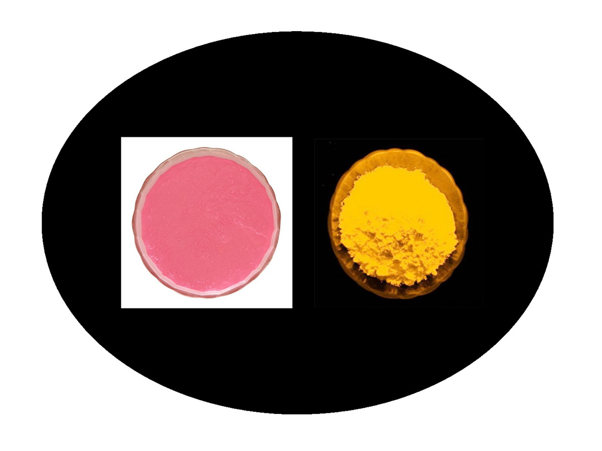 橙黄夜光粉.jpg 橙黄夜光粉.jpg