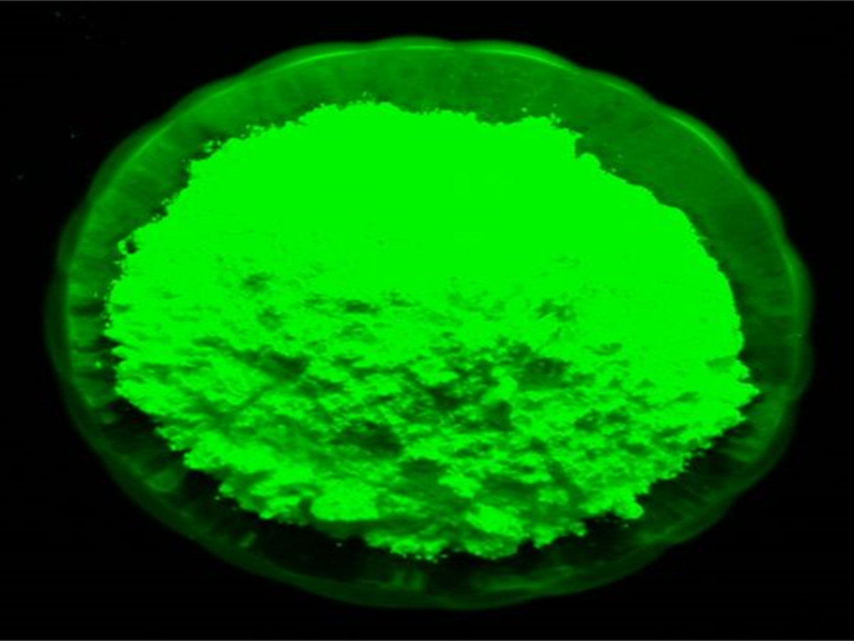 黄绿夜光粉_副本.jpg 黄绿夜光粉_副本.jpg