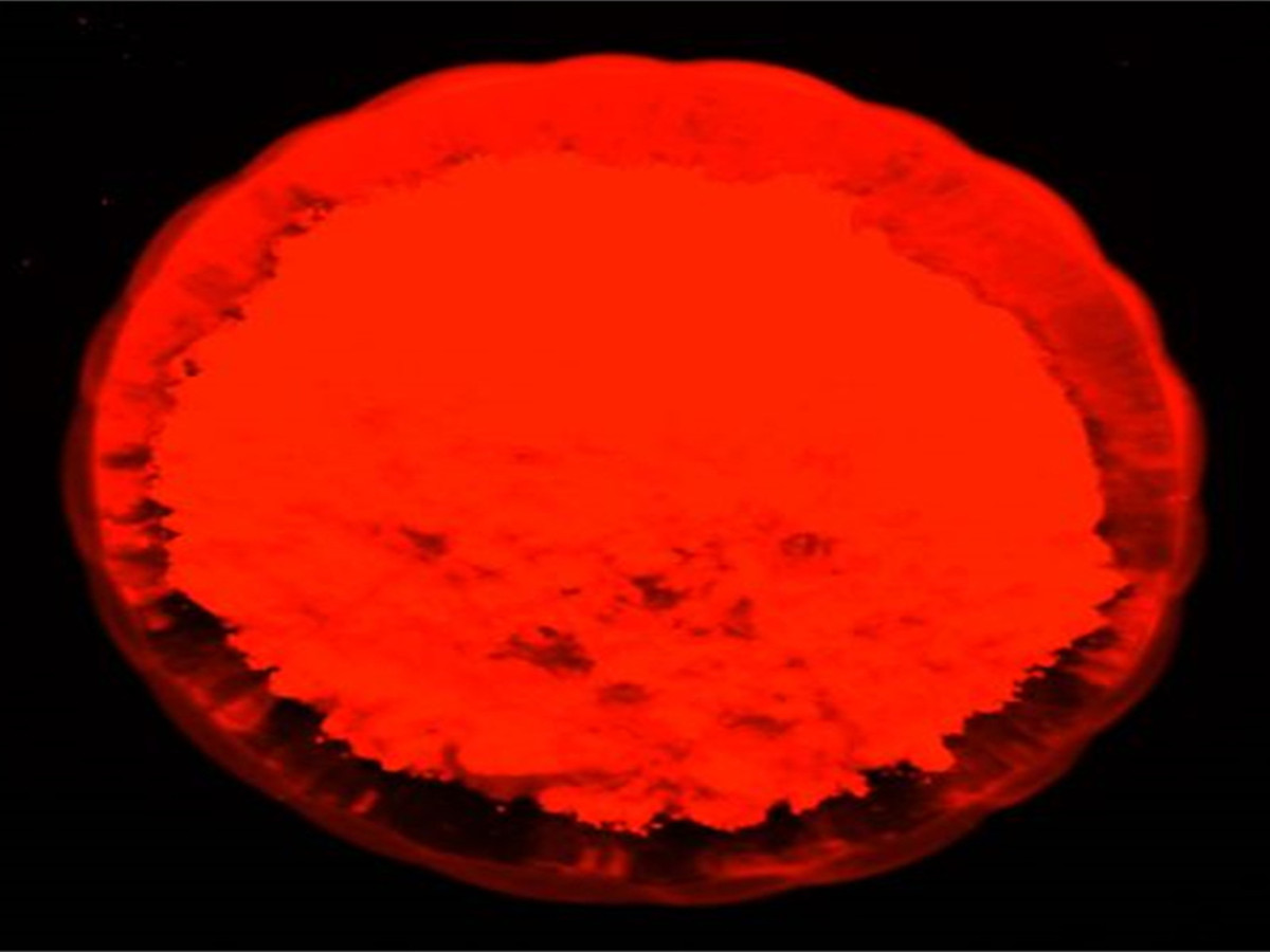 红色夜光粉_副本.jpg 红色夜光粉_副本.jpg