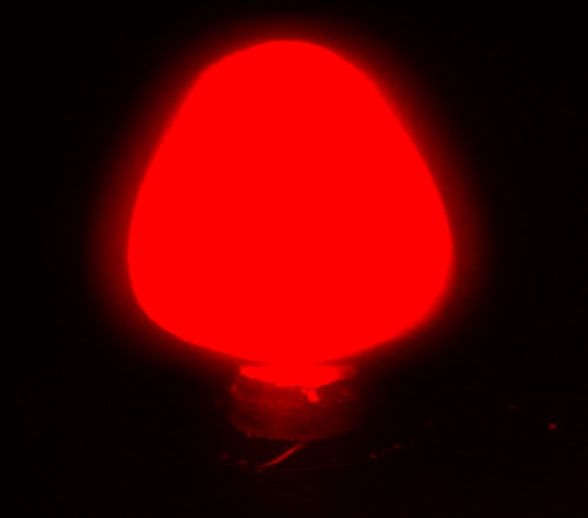 瓶装红色光夜光粉1.JPG 瓶装红色光夜光粉1.JPG