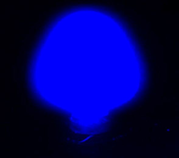 瓶装紫色光夜光粉1.JPG 瓶装紫色光夜光粉1.JPG