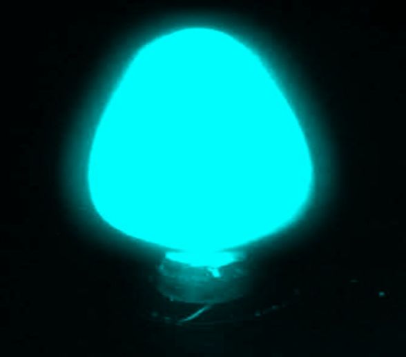 瓶装蓝绿光夜光粉1.JPG 瓶装蓝绿光夜光粉1.JPG