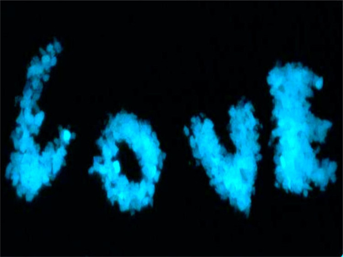 夜光产品140.jpg 夜光产品140.jpg