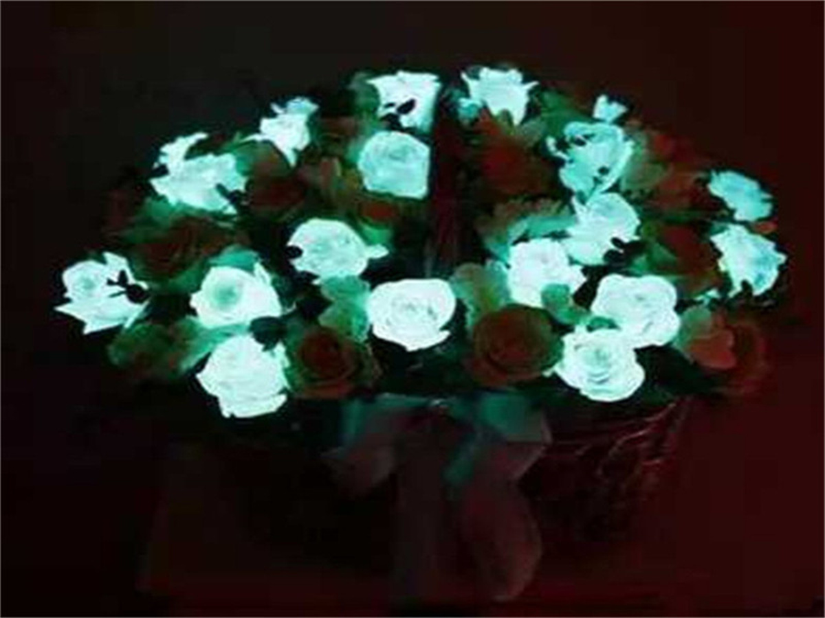 夜光产品28.jpg 夜光产品28.jpg