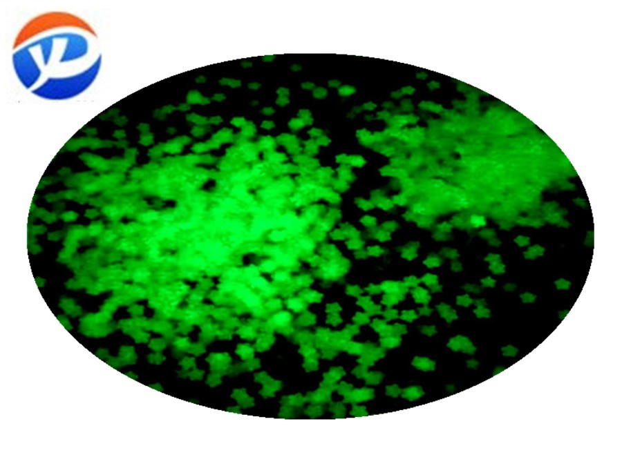 夜光亮片.jpg 夜光亮片.jpg