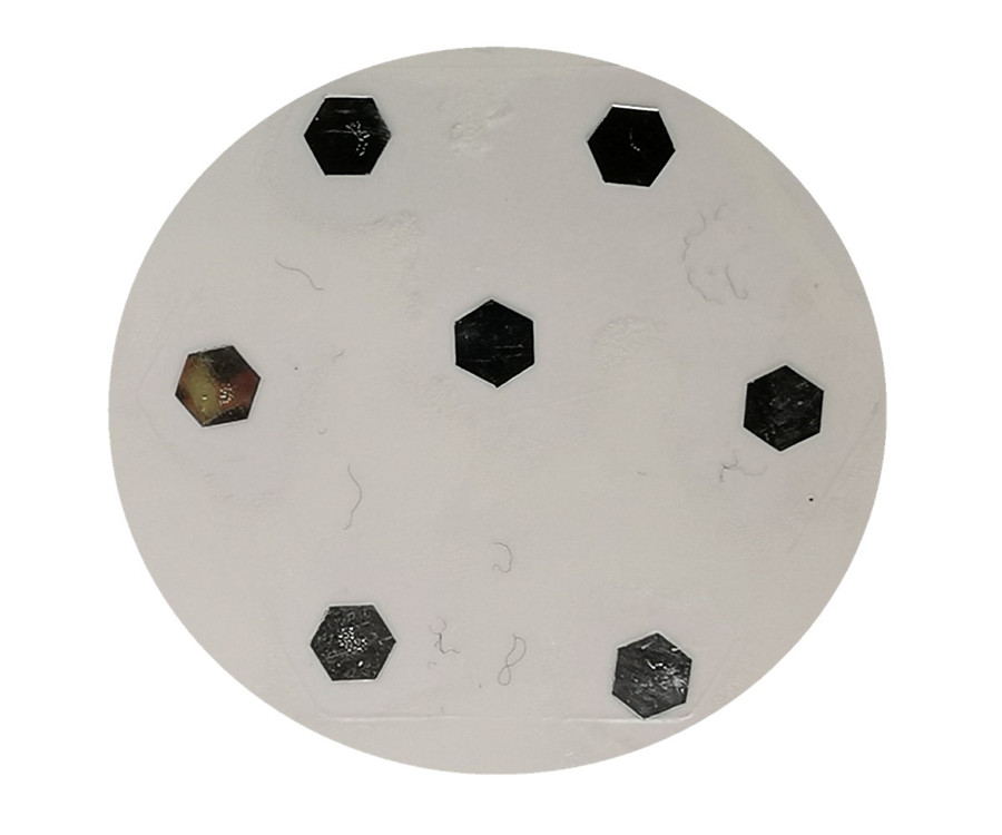 1、10金葱粉.jpg 1、10金葱粉.jpg